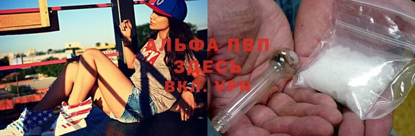 молекула духа Алексеевка